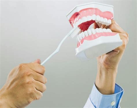 Can You Brush Your Teeth with Rubber Bands In: An Absurd Yet Insightful Discussion on Alternative Dental Care Methods