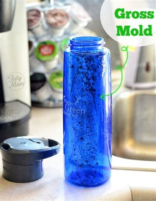 How to Remove Mold from Water Bottle Rubber: And a Glance at the Importance of Regular Cleaning Routines